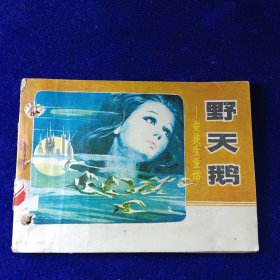 连环画：野天鹅