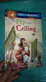 The Fly on the Ceiling: A Math Myth 在屋顶上飞