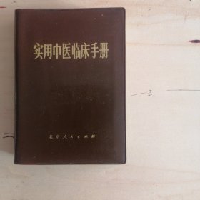实用中医临床手册