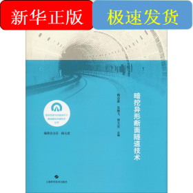 暗挖异形断面隧道技术