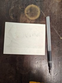 普洱火花孔雀(大尺寸