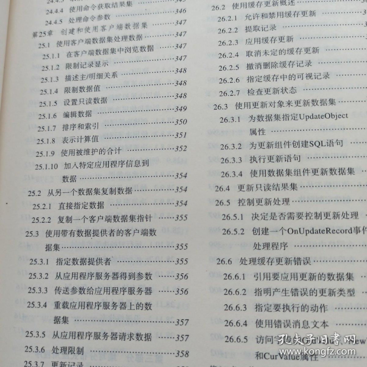 C++ Builder 5开发人员指南