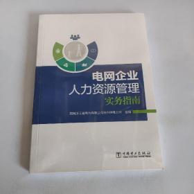 电网企业人力资源管理实务指南