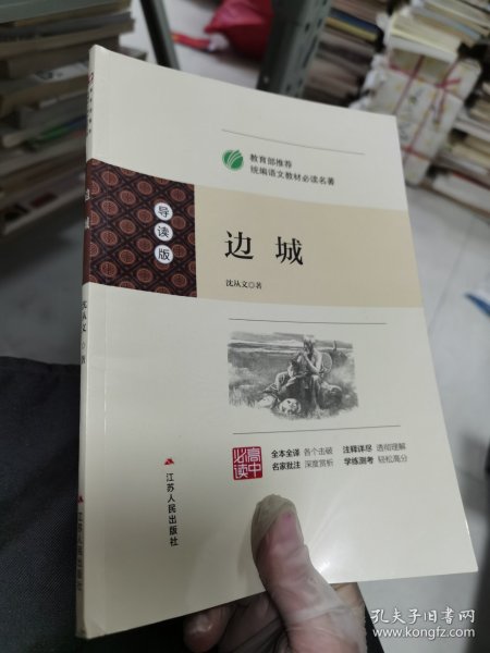 边城（导读版高中必读）