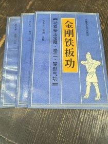 金刚铁板功 千钧坠底功 天罡桶子功