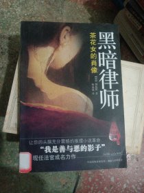 黑暗律师：茶花女的肖像：黑暗律师系列第二部