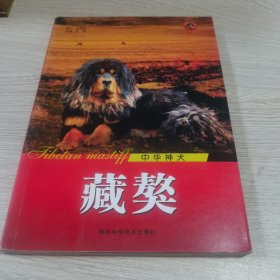 中华神犬： 藏獒