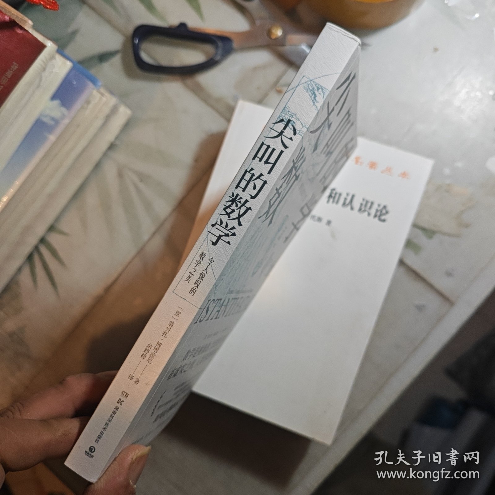 尖叫的数学-令人惊叹的数学之美（国际知名数学史专家，国际杂志《数学史》前主编翁贝托·博塔兹尼带你从数学的角度看世界）