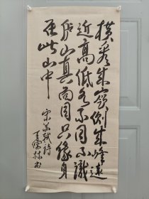 王儒林。11年10月出生于山东省莱芜市。55年9月被授予上校军衔。荣获中华人民共和国二级独立自由勋章、二级解放勋章。60年晋升为大校。88年7月被中央军委授予中国人民解放军独立功勋荣誉章。最高军职是中国人民解军解放军军事科学院战史部副军职研究员（副军级），根据军（副军）级、军种各部部长的资历，可授予少将军衔。其在88年中国人民解放军第二次授衔前业已离休，已超过了授衔时效，故无授衔。因此谓无衔将军，