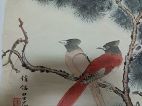 收的旧藏 田世光款手绘国画，画的很好，宣纸是自然氧化自然旧（可以和下面宣纸颜色对比）图物一致售后不退 不换，麻烦——下面有处小破损，装裱后可以密合。尺寸59乘42厘米。