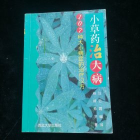 小草药治大病 107种大小病症的治疗汉方