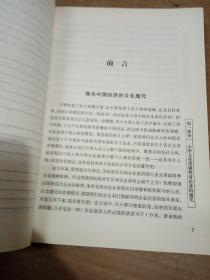 郎咸平说：谁在谋杀中国经济：附身中国人的文化魔咒