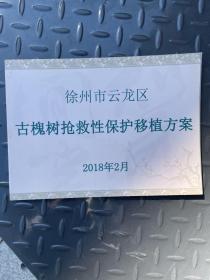 徐州市云龙区古槐树抢救性保护移植方案