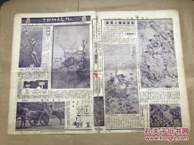 北晨画刊（第11卷第1期）8开4版，道林纸，1936年，张善孖、张大千昆仲合作丁丑开岁图，徐燕孙个人画展（天乐图、关将军图），最近在津逝世之方地山遗墨，圣裔孔德成与孙琪芳小姐结婚俪影，沪上画家王师子画牛，话说陕西，平市救济院妇女儿童部上课时所见，陈志浓作漫画民间歌谣，