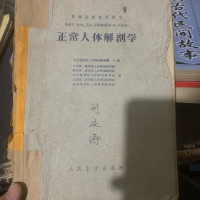 正常人体解剖学