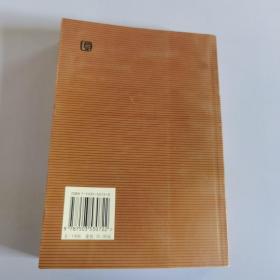 中央关注的若干重大问题