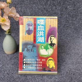 喋血洪湖:洪湖苏区纪实