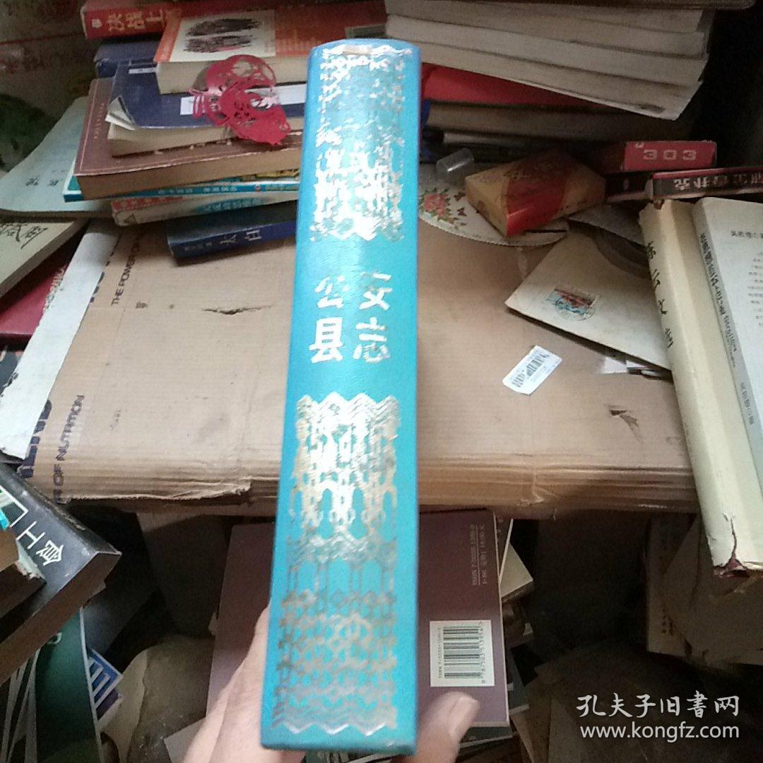 公安县志