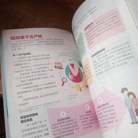 陪老婆怀孕每日一页（汉竹）