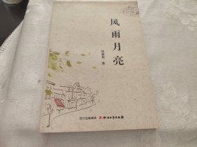 风雨月亮