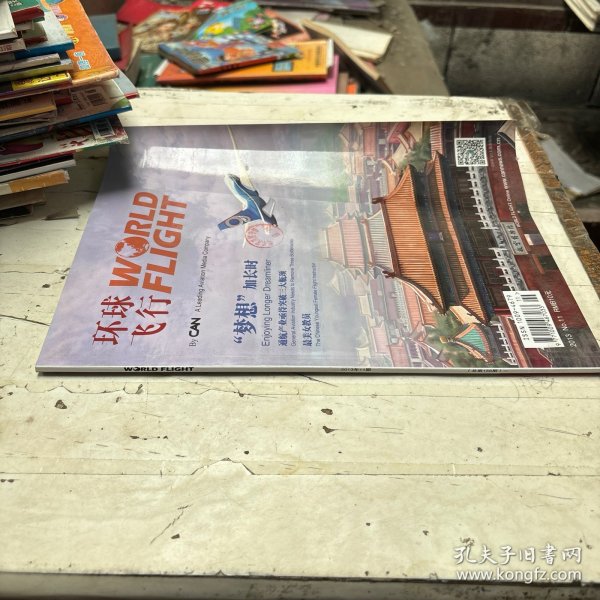环球飞行2013年11期