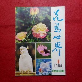 创刊号：花鸟世界