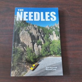 The Needles: Climbing Guide to the Black Hills Needles