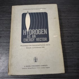 HYDROGEN AS AN ENERGY VECTOR 1980