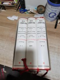 英日中工业技术大辞典（全3册）精装