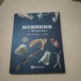 海洋微塑料图鉴——海洋中的PM2.5