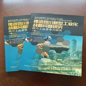 推进四川新型工业化战略问题研究:四川工业竞争力研究(上下全)