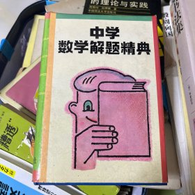 中学数学解题精典