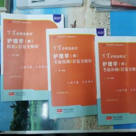 2023新版丁震护师急救包 护理学（师）考前冲刺4套卷全解析、护理学（师）考前预测5套全解析、护理学（师）模拟6套卷全解析