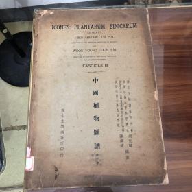 中国植物图谱 第三、四、五、共三卷 民国二十二（1933）年出版，超大开本