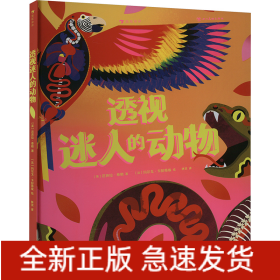 透視迷人的動物