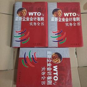 全三卷 WTO与最新企业会计准则实务全书 上中下三卷