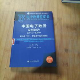 中国电子政务发展报告(2019-2020)