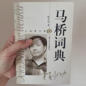 马桥词典