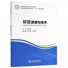 储能原理与技术/全国高等院校新能源专业规划教材，全国普通高等教育新能源类“十三五”精品规划教材