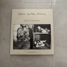 MEXICAN NOTEBOOKS（墨西哥笔记本）英文版