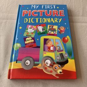 My first picture dictionary