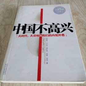 中国不高兴：大时代大目标及我们的内忧外患