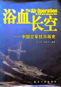 浴血长空：中国空军抗日战史