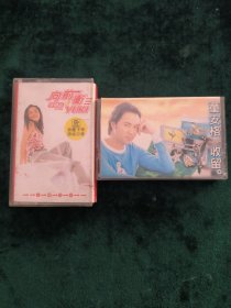 磁带【两张合售】 童安格-《收留》/徐怀钰-《向前冲》