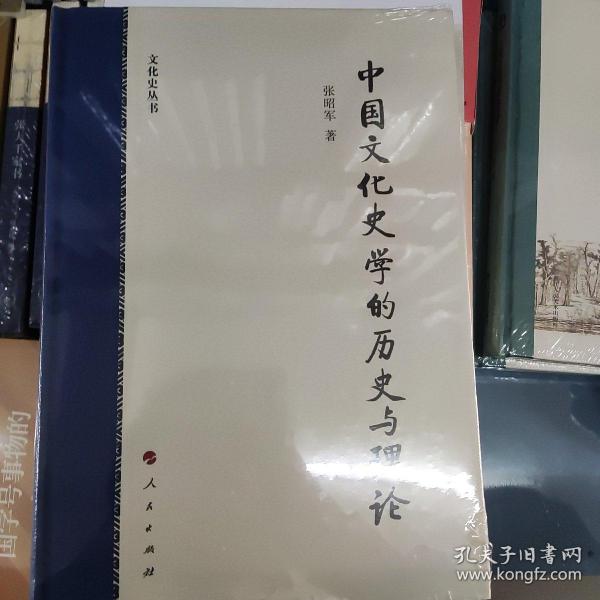 中国文化史学的历史与理论（文化史丛书）