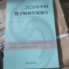 2020年中国数字财政年度报告