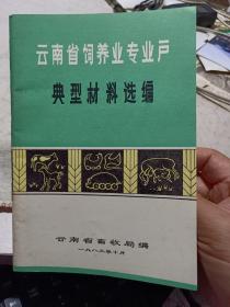 《云南省饲养业专业户典型材料选编 》【一、专业承包多养猪支援国家建设·二、熬糖养猪劳动致富…三、养猪更上一层楼交售国家肥猪一百零三头四、科学养猪使我走上了富裕道路…五、多养猪多贡献·六、靠政策靠科学靠劳动致富…七、党员要带头劳动致富·八、专业养猪大显身手…九、土法上马石洞养猪·十、饲养种公猪服务养猪户…十一、专业养母猪像栽“摇钱树”…十二、家庭饲养母猪好处多…十四、自谋职业养奶牛居民杨润收入多……