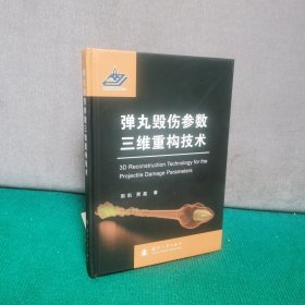 弹丸毁伤参数三维重构技术（精装）