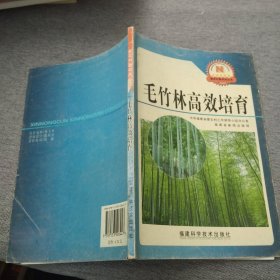 毛竹林高效培育