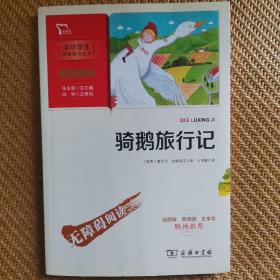 骑鹅旅行记 快乐读书吧 六年级下册推荐阅读(中小学生课外阅读指导丛书)彩插无障碍阅读 智慧熊图书